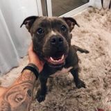 MUSICOVZKIE - Чат⚡