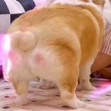 только хорошее (нет)