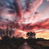 Бесплатные|Ставки|Прогнозы