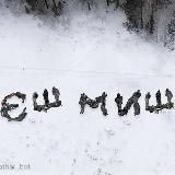 Єш миш 🐭🦅🇺🇦🍉