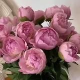 Отзывы и кейсы @ladyviory🔮