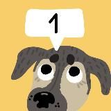 Напоминалки о собаках