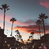 Дневник Хастлера