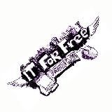 IFF | Бесплатные курсы Программирования, Стажировка & Семинар