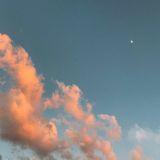 august by chris