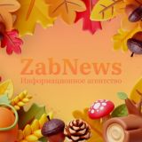 ZabNews.ru | Комментатор