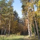 Ижевск чат | 🇷🇺 Удмуртия