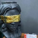 Адвокат Анастасия Волк