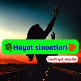 🍀нayoт ѕιnoaтlarι🍁