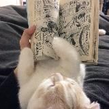 reading manga
