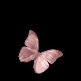 -𝒍𝒊𝒇𝒆 𝒐𝒇 𝒈𝒂𝒄𝒉𝒆𝒓𝒔-