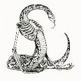 Лунный Серпентарий. 🌑