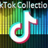 💗TikTok Collection