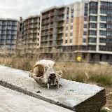 ЖК без цензуры