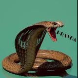 ГАДЮКА 🐍
