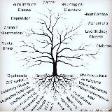 Regenerative Detoxification (Official)