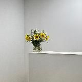 Les fleurs et la musique