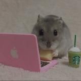 МодафинилТаблетки ГабапентинОригинал