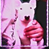 T I X I Y Y _ P R O D