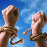 Жизнь без трусов