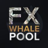 FXwhalepool