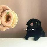 Сервисы от icedout