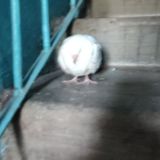 Обсуждение фзшки😈