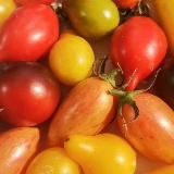 Помидом - Дом Помидоров