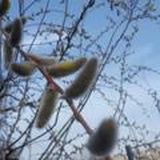 Что делать?