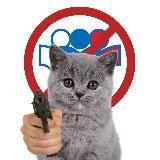 егэ сдавайся блин