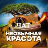 Ⳡⲁⲧ Ⲏⲉⲟⳝыⳡⲏⲁя ⲕⲣⲁⲥⲟⲧⲁ