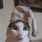 Откуда ты это сказал