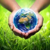 Свет Мудрости