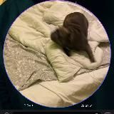 Ася благоухает @avealalat