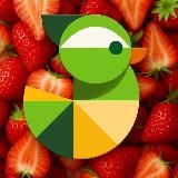 Броско Маркет