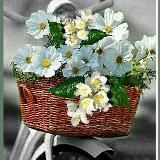 БИЗНЕС и не только🫶