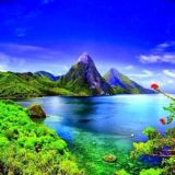 Сохраненки