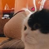 сливы знатных дам 18+