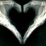 ☢ ﭘﺮﺗﻮﻧﮕﺎﺭ The Radiographer