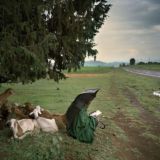 Горькая благодать.