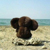 Бункер интроверта