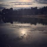 Жизнь вокруг