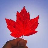 Беседы на кухне в Лондоне