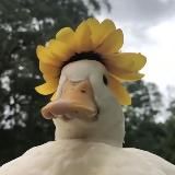 летс гет дакс