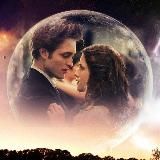 The Twilight Saga