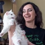 У Алины снова пригорело