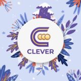 Clever Credit
