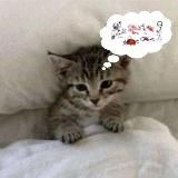 Психиатрический стационар