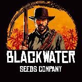 Blackwater