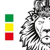 TZARSKY | Батутный парк | Иркутск | Царский